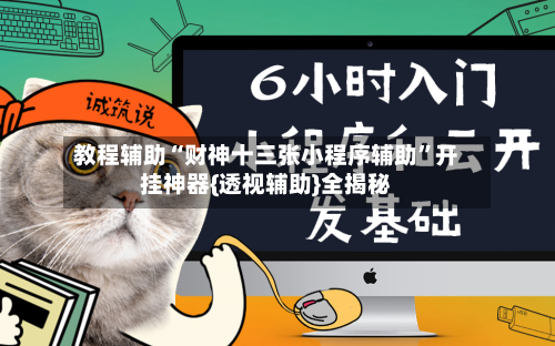 教程辅助“财神十三张小程序辅助	”开挂神器{透视辅助}全揭秘-第3张图片