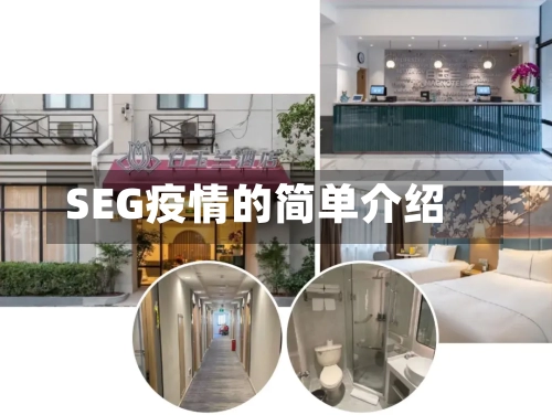 SEG疫情的简单介绍
