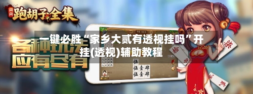 一键必胜“家乡大贰有透视挂吗”开挂(透视)辅助教程-第2张图片