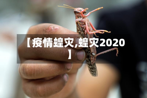 【疫情蝗灾,蝗灾2020】