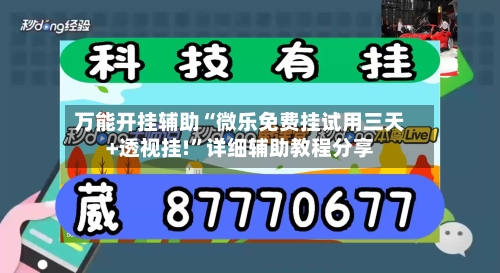 万能开挂辅助“微乐免费挂试用三天+透视挂!”详细辅助教程分享-第3张图片