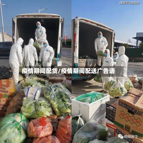 疫情期间配货/疫情期间配送广告语-第3张图片