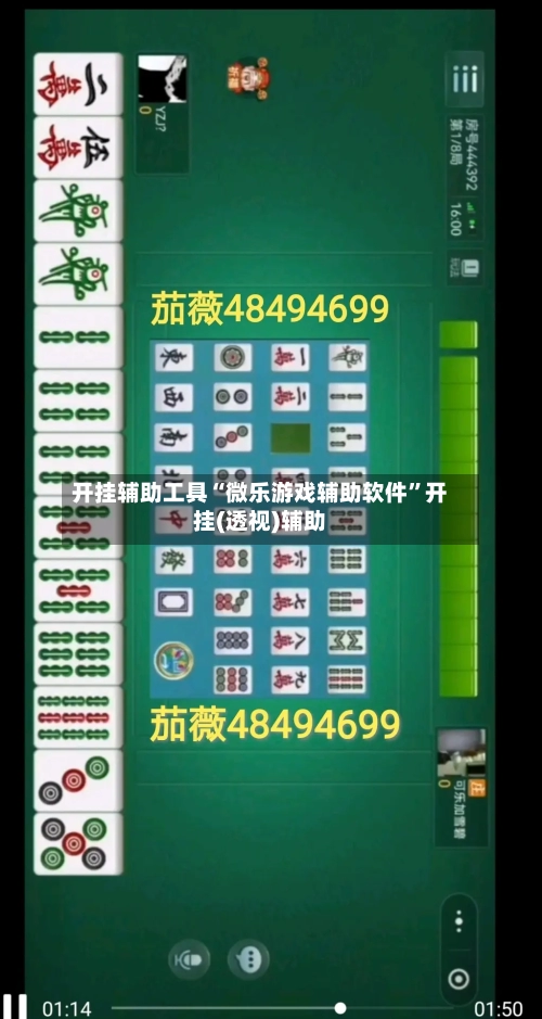 开挂辅助工具“微乐游戏辅助软件”开挂(透视)辅助