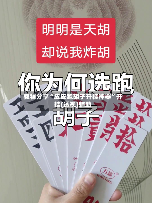 教程分享“皮皮跑胡子开挂神器”开挂(透视)辅助-第3张图片