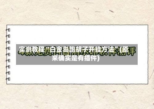 实测教程“白金岛跑胡子开挂方法”(原来确实是有插件)-第2张图片