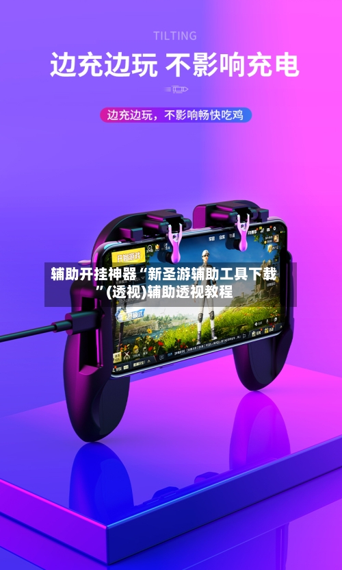 辅助开挂神器“新圣游辅助工具下载”(透视)辅助透视教程-第3张图片