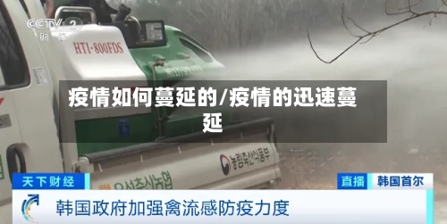 疫情如何蔓延的/疫情的迅速蔓延-第2张图片