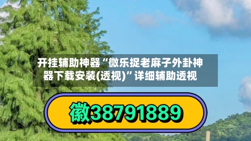 开挂辅助神器“微乐捉老麻子外卦神器下载安装(透视)	”详细辅助透视-第3张图片
