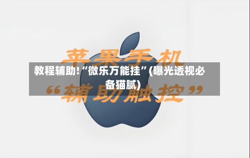 教程辅助!“微乐万能挂	”(曝光透视必备猫腻)-第2张图片