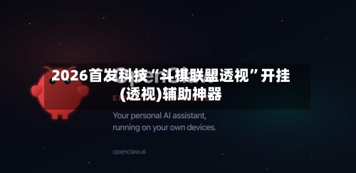 2026首发科技“斗棋联盟透视”开挂(透视)辅助神器-第2张图片