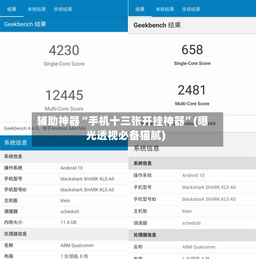 辅助神器“手机十三张开挂神器”(曝光透视必备猫腻)-第3张图片