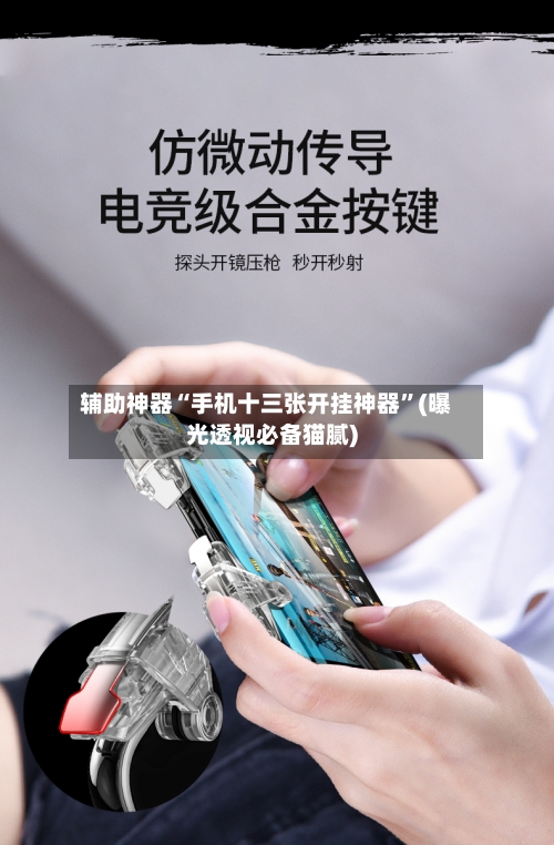 辅助神器“手机十三张开挂神器	”(曝光透视必备猫腻)-第2张图片