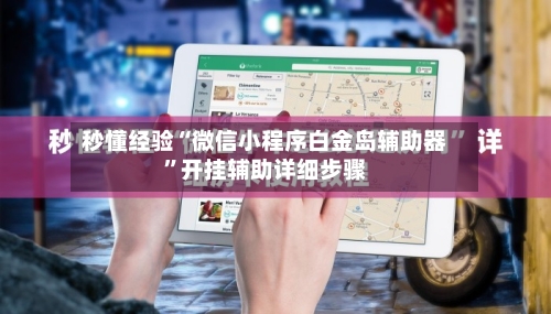 秒懂经验“微信小程序白金岛辅助器”开挂辅助详细步骤-第3张图片