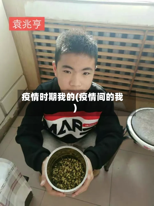 疫情时期我的(疫情间的我)
