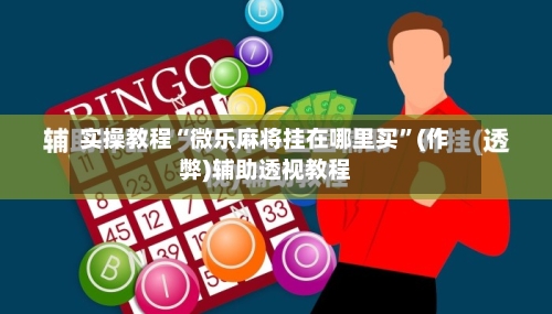 实操教程“微乐麻将挂在哪里买”(作弊)辅助透视教程-第3张图片