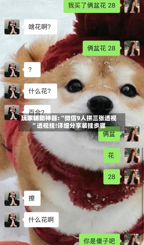 玩家辅助神器:“微信9人拼三张透视	”透视挂!详细分享装挂步骤-第3张图片
