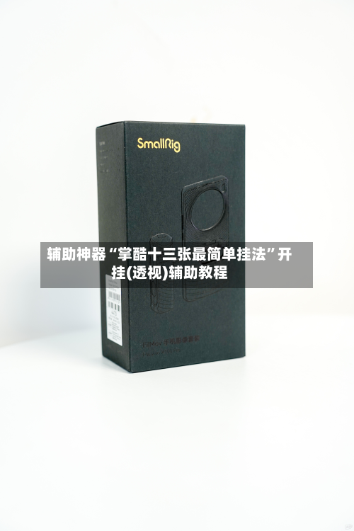 辅助神器“掌酷十三张最简单挂法	”开挂(透视)辅助教程-第2张图片