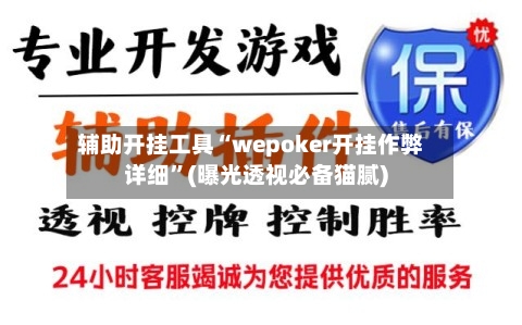 辅助开挂工具“wepoker开挂作弊详细”(曝光透视必备猫腻)-第2张图片