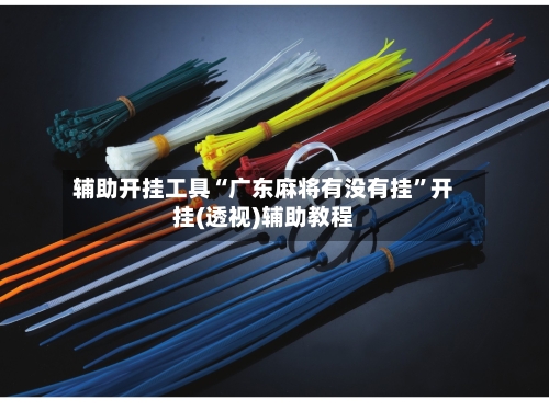 辅助开挂工具“广东麻将有没有挂	”开挂(透视)辅助教程-第3张图片