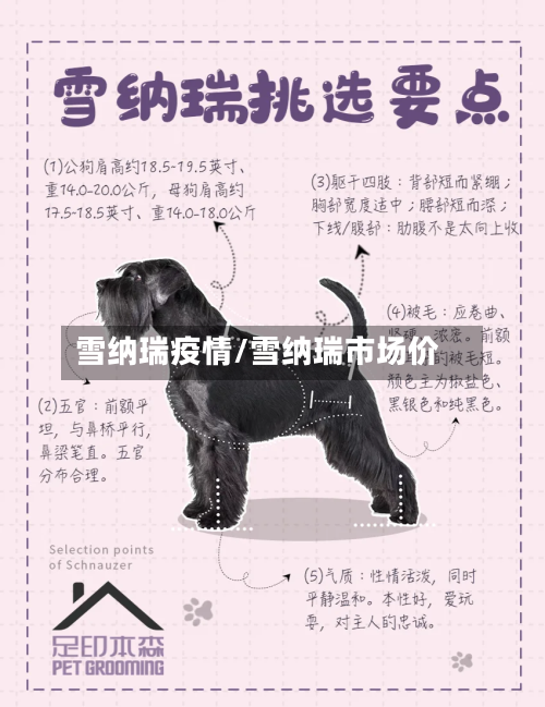 雪纳瑞疫情/雪纳瑞市场价-第2张图片