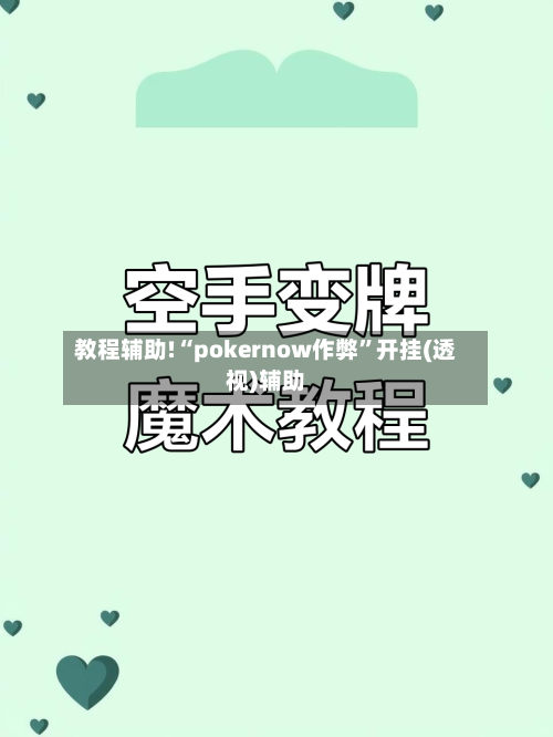 教程辅助!“pokernow作弊	”开挂(透视)辅助-第2张图片