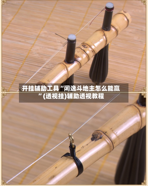 开挂辅助工具“闲逸斗地主怎么能赢”(透视挂)辅助透视教程