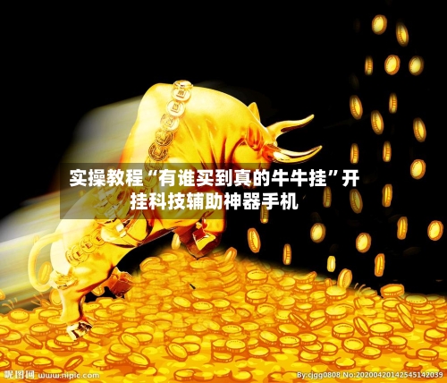 实操教程“有谁买到真的牛牛挂	”开挂科技辅助神器手机-第2张图片