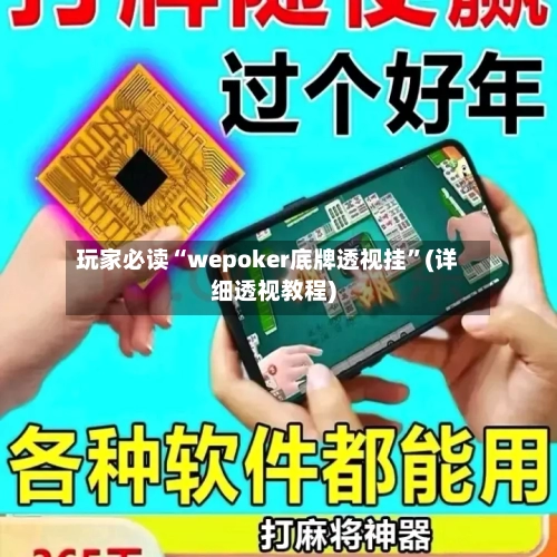 玩家必读“wepoker底牌透视挂”(详细透视教程)-第3张图片
