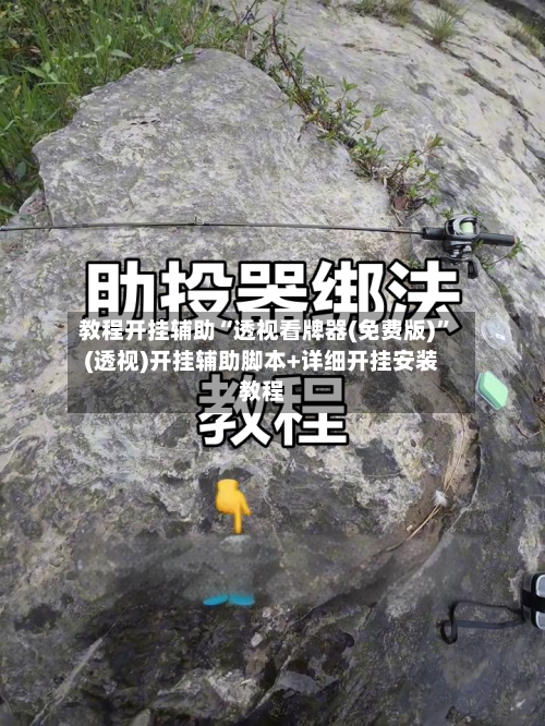 教程开挂辅助“透视看牌器(免费版)”(透视)开挂辅助脚本+详细开挂安装教程-第3张图片