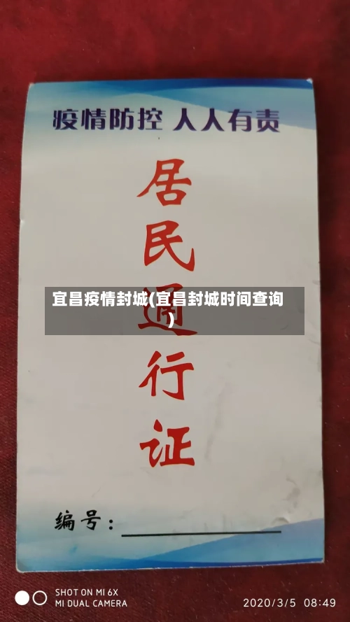 宜昌疫情封城(宜昌封城时间查询)