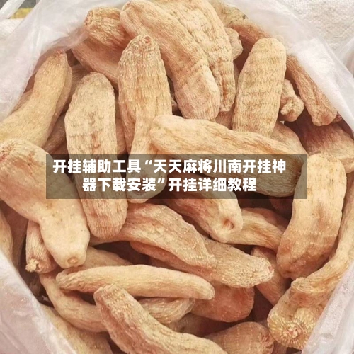 开挂辅助工具“天天麻将川南开挂神器下载安装	”开挂详细教程-第2张图片