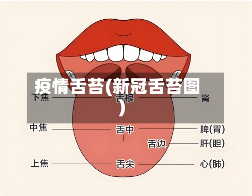 疫情舌苔(新冠舌苔图)-第2张图片