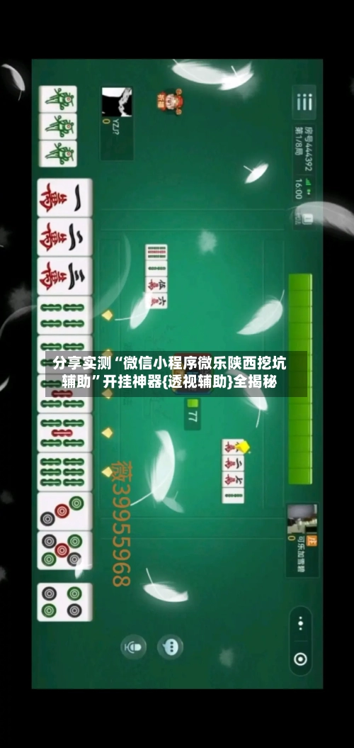 分享实测“微信小程序微乐陕西挖坑辅助”开挂神器{透视辅助}全揭秘-第3张图片