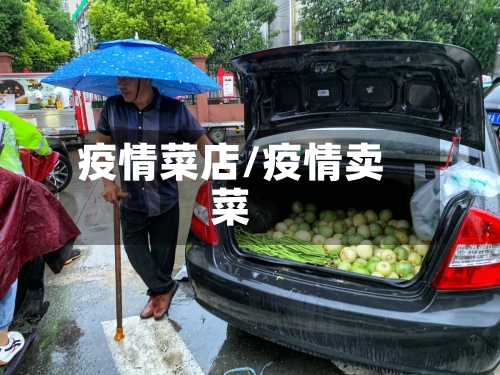 疫情菜店/疫情卖菜