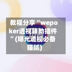 教程分享“wepoker透视辅助插件”(曝光透视必备猫腻)-第3张图片