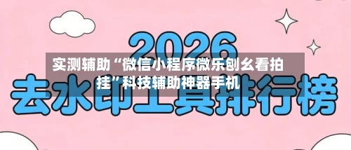 实测辅助“微信小程序微乐刨幺看拍挂	”科技辅助神器手机-第2张图片