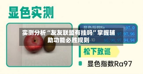 实测分析“友友联盟有挂吗”掌握辅助功能必胜规则-第2张图片