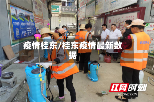 疫情桂东/桂东疫情最新数据-第2张图片