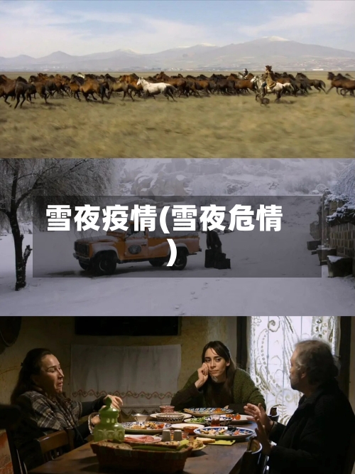 雪夜疫情(雪夜危情)
