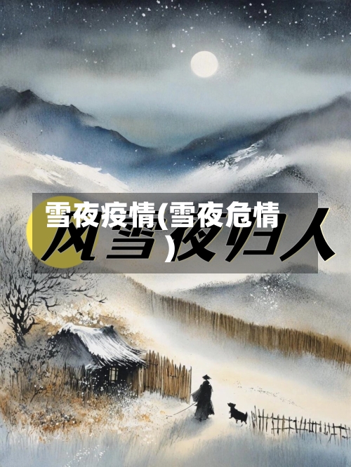 雪夜疫情(雪夜危情)-第2张图片