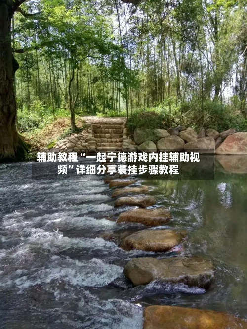 辅助教程“一起宁德游戏内挂辅助视频	”详细分享装挂步骤教程-第2张图片