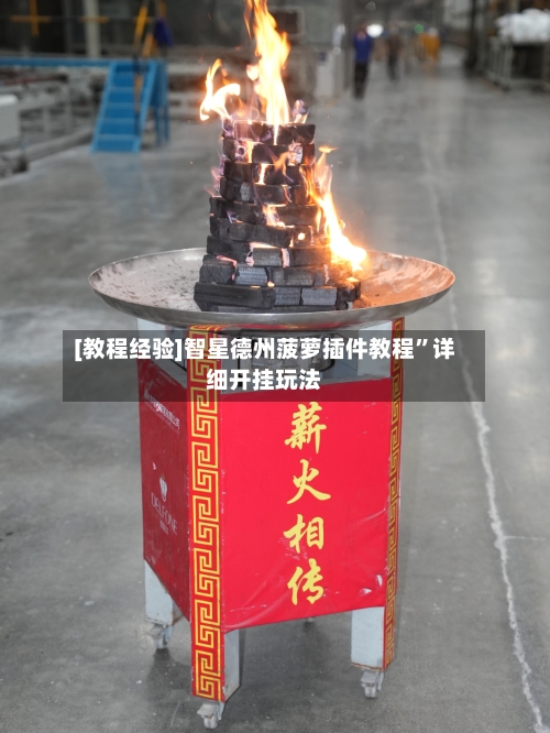 [教程经验]智星德州菠萝插件教程”详细开挂玩法-第3张图片