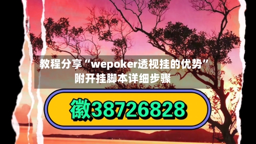 教程分享“wepoker透视挂的优势”附开挂脚本详细步骤-第3张图片