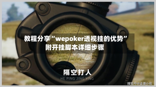教程分享“wepoker透视挂的优势”附开挂脚本详细步骤-第2张图片