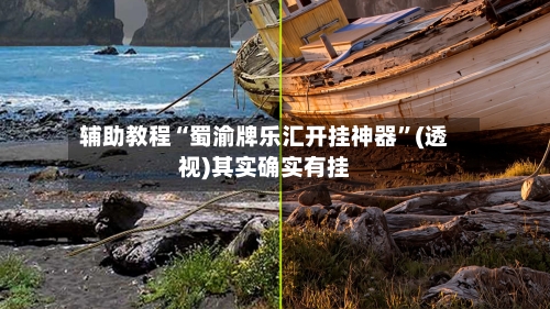 辅助教程“蜀渝牌乐汇开挂神器”(透视)其实确实有挂-第3张图片