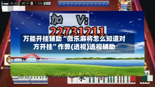万能开挂辅助“微乐麻将怎么知道对方开挂”作弊(透视)透视辅助