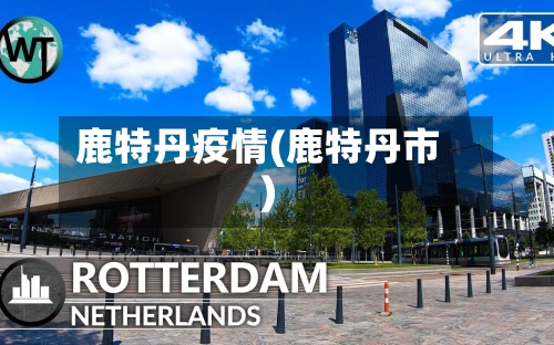 鹿特丹疫情(鹿特丹市)