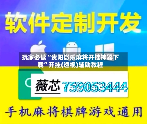 玩家必读“贵阳微乐麻将开挂神器下载”开挂(透视)辅助教程-第2张图片
