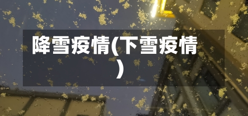 降雪疫情(下雪疫情)-第2张图片