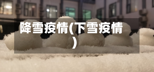 降雪疫情(下雪疫情)-第3张图片